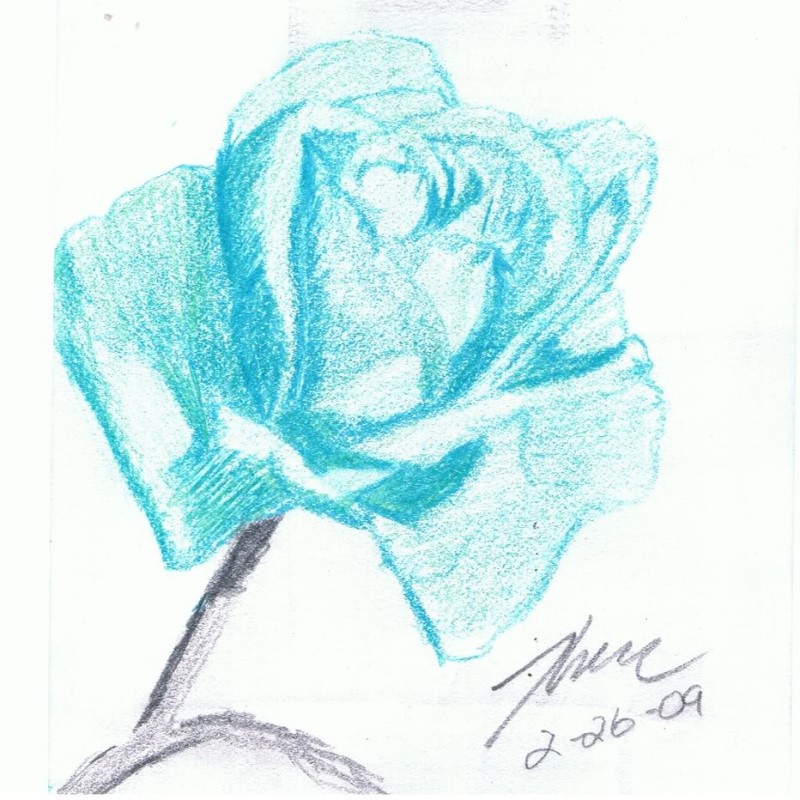 The Rose